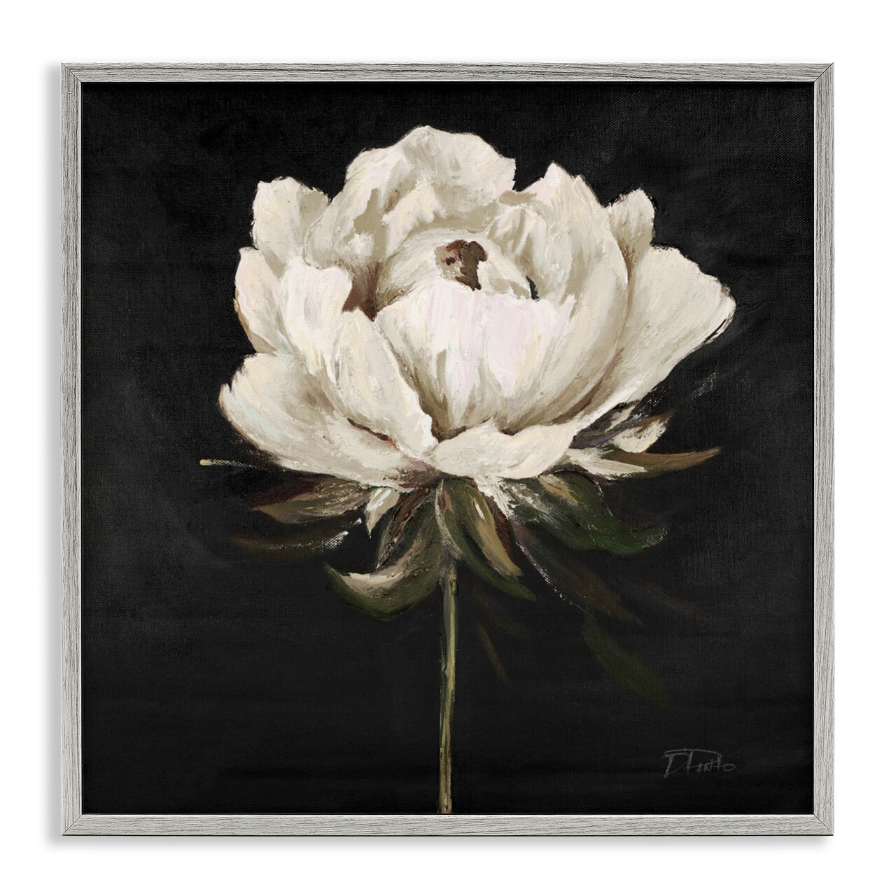 Stupell Industries Pretty Delicate Bloom on Black Framed Giclee, design by Patricia Pinto